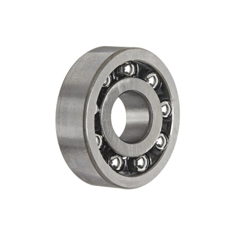 SKF 129 TN9 Self-Aligning Ball Bearing
