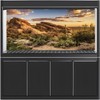 MIRRORANG 120x61cm Reptile Habitat Background Blue Sky Oasis Cactus Sun