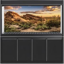 MIRRORANG 120x61cm Reptile Habitat Background Blue Sky Oasis Cactus Sun and Desert Terrarium Background Vinyl Background
