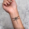 4 x 'Dragonfly' Temporary Tattoos - Water Resistant, Skin-Safe, Non-Toxic