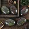 Lovionus89 Dragon Bloodstone Worry Stones, Natural Oval Palm Tree Bag