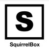 SquirrelBox High Strength; Universal Fit; Cubicle Wall Double Hook; Adjustable