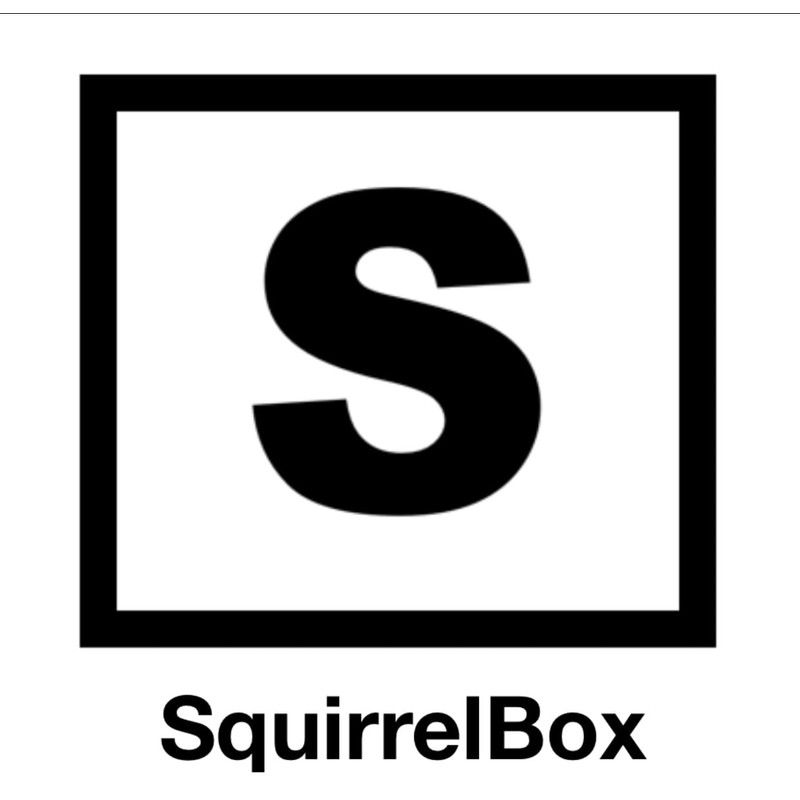 SquirrelBox High Strength; Universal Fit; Cubicle Wall Double Hook; Adjustable