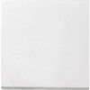 Gira System 55 / E2 Pure White Silk Matt