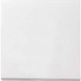 Gira System 55 / E2 Pure White Silk Matt