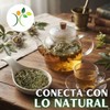Xenivalle Pasiflora 500g Natural para Infusiones, Ts, Mezclas Herbales y