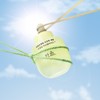 Hanyul [한율]보들은행잎 모공핏 세럼 기획세트 [Hanyul] Herb Flower Leaf Pore