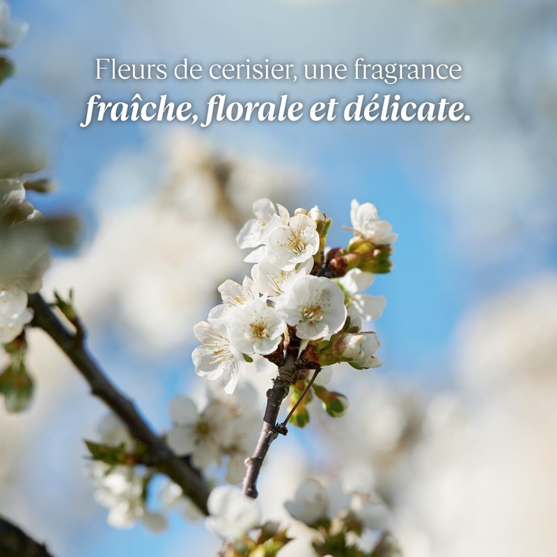 L'OCCITANE Cherry Blossom Eau de Toilette 2.50 fl. oz