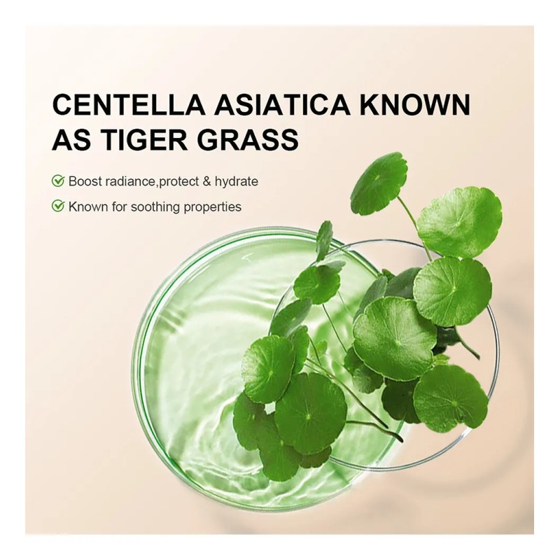 Centella Asiaticam Color Hydrating Cream Foundation