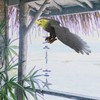 Yardwe 3pcs Realistic Eagle Bird Deterrent Hanging Plastic Eagle Decor