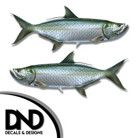 Tarpon - Fish Decal Fishing Tackle Box Bumper Sticker "3in SET" F-0870 D&