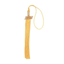 Sowaka Academic Graduation Tassel with 2026 Year Charm Gold Silver Hanging Pendant Tassel for Doctor Bachelor Graduate Cap Souvenir Parties Decoration (Gold, 2026 - Gold Charm)