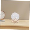 Mipcase Glass Terrarium Plant Holder Bubble Planter for Succulents and