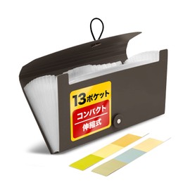 SIMPS Document File (13 Pockets) For Managing Receipts / Vouchers (Pockets Widen!) Name Label Included, Thin, Portable (Width: 10.2 inches (26 cm), Height: 5.5 inches (14 cm), Thickness: 1.1 inches (2.7 cm), Receipt File, Storage File (Black)