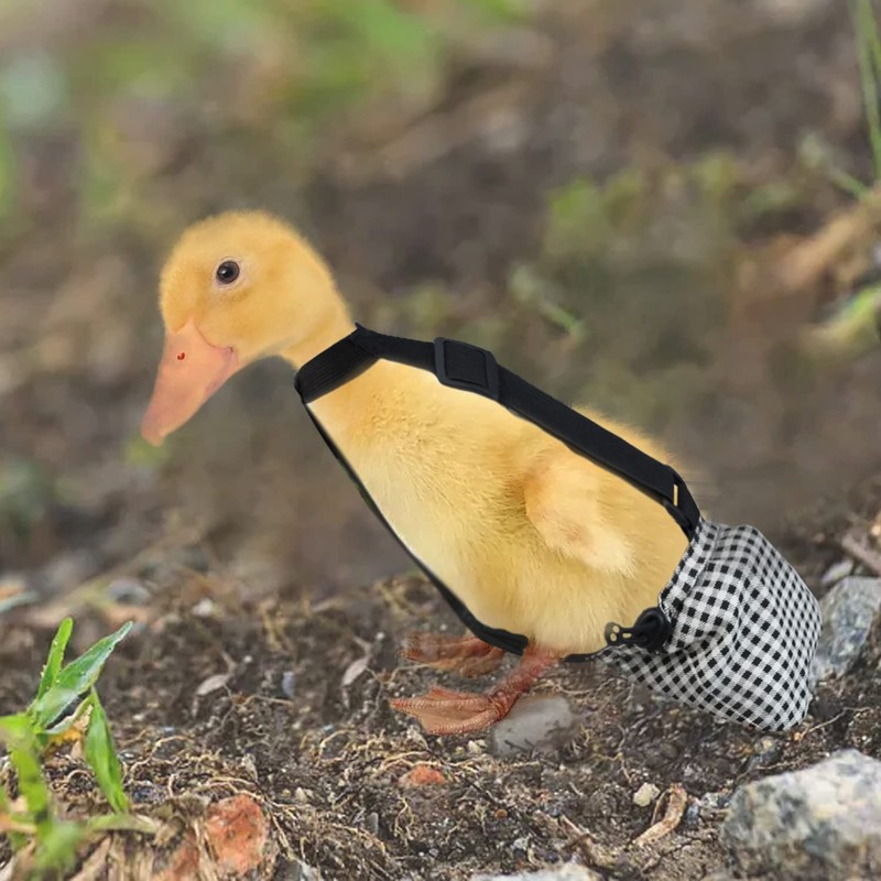 Duckling Diapers with Elastic Rope for Baby Duck Pet Duck