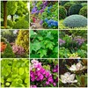The Old Farmer's Almanac Tree & Shrub Fertilizer Spikes (Box