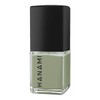 Hanami Branches Nail Polish, 15ml