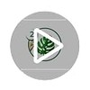 Leafshine Abrillantador para follajes y plantas