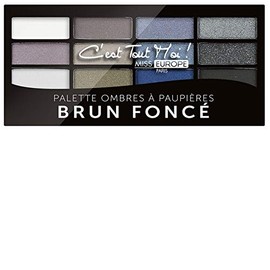 Eyeshadow Makeup Palette 12 Dark Colours Assorted Blue and Grey 12 Grams