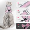 ADNIKIA Cat Harness and Leash Set, Escape Proof Adjustable Kittens