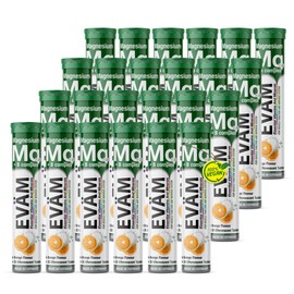 EVÄM Magnesium + B-Komplex Brausetabletten Orange I Geschmack Orange I 24x 20 Stück I Nahrungsergänzungsmittel mit wichtigen Vitaminen für den täglichen Vitaminbedarf I Vegan I Made in Germany