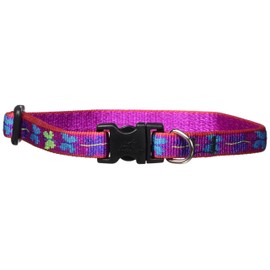 Lupine 1/2-Inch Wing It Adjustable Dog Collar for Small Dogs