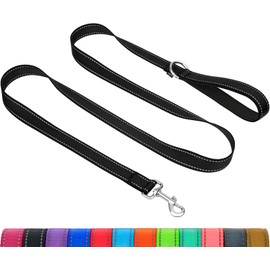 Taglory Dog Leads for Small Medium Dogs | Double Sided Reflective | Soft Neoprene Padded Handle | 2cm Wide by 180cm Long | Black