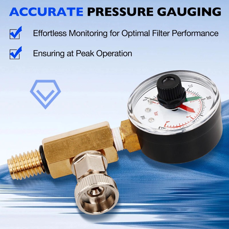 Zodiac Jandy Filter Pressure Gauge Air Relief Valve Assy For