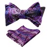 Alizeal Men's Fashion Adjustable Self-Tie Bowties with Pocket Square Set