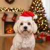 Mini Dog Santa Hat for Dog Christmas Hat (Red)