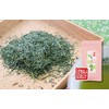 【国産100%】さくら緑茶 50g×2袋セット 巣鴨のお茶屋さん 山年園