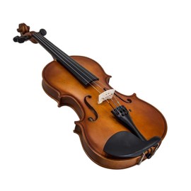 Sky 1/2 Size Student Violin with Lightweight Case, Brazilwood Bow, Shoulder Rest, String, Rosin, and Mute