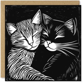 Beau Willows Black And White Cat Card - Happy Birthday Card - Wedding Anniversary Card - Card for Best Friend - Female Friendship Card