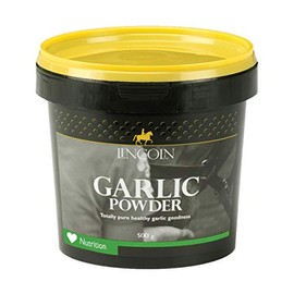 Lincoln Garlic Powder 500g