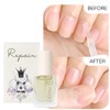Facet Celeb Repair Cuticle Oil 7ml Nail Care / 파셋