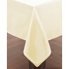 Elaine Karen Clear Plastic Table Cover Protector 100% Waterproof Table