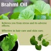 Brahmi (Bacopa monnieri) Essential Oil 100% Pure & Natural -
