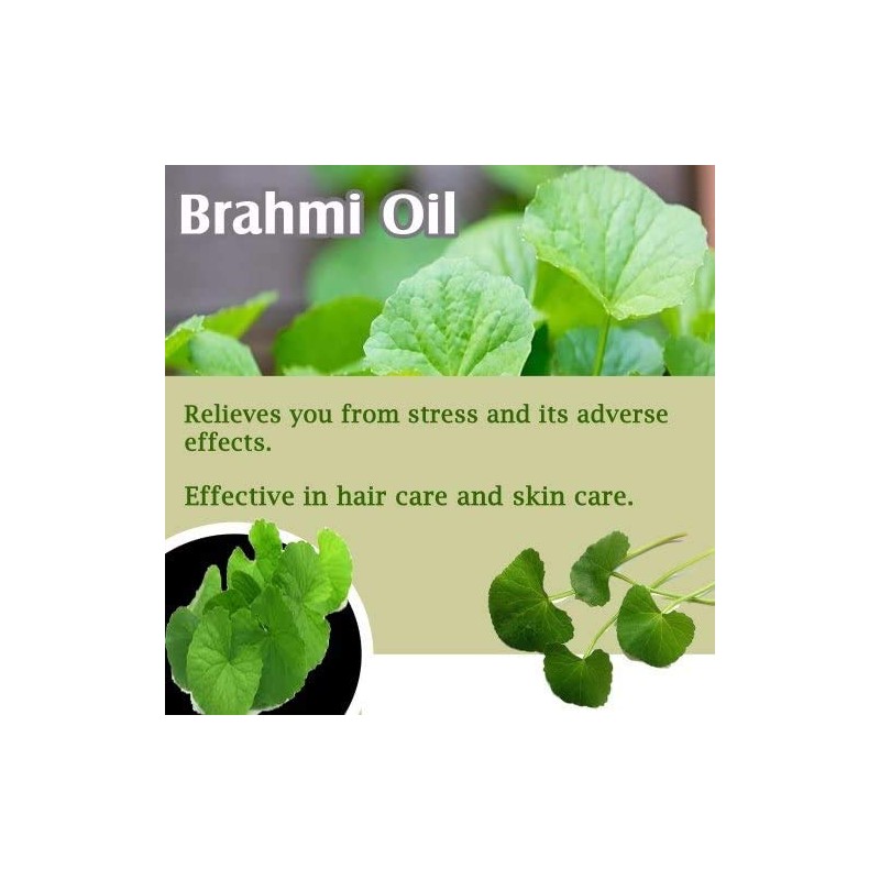 Brahmi (Bacopa monnieri) Essential Oil 100% Pure & Natural -