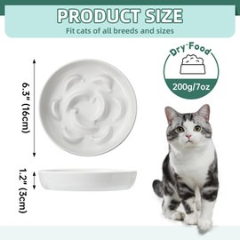 PTOBER Cat Slow Feeder Bowl Set - 2 Pcs Ceramic Cat Food Plates for Slow Eating - Double Cat Dish for Dry Wet Food - Slow Feeding Cat Bowls Whisker Friendly - Microwave and Dishwasher Safe - White and Green
