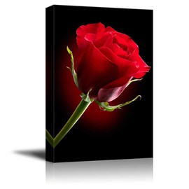 Canvas Prints Wall Art - Closeup of Red Rose Flower Against Black Background | Modern Wall Decor/Home Decoration Stretched Gallery Canvas Wrap Giclee Print & Ready to Hang - 24" x 36"