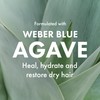 Agave Healing Oil Agave Professional Hair Care Set - Shampoo