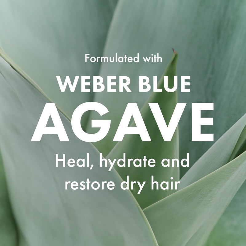 Agave Healing Oil Agave Professional Hair Care Set - Shampoo