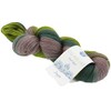 Lana Grossa Cool Wool Lace Hand-Dyed 821 - Kangan