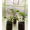 HORTIPOTS Fabric Pots 3 Gallon Non So Floppy Air Pruning