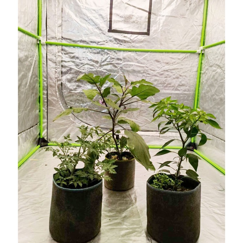 HORTIPOTS Fabric Pots 3 Gallon Non So Floppy Air Pruning