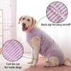 Axcimond Dog Bodysuit - Post-Surgery Spay/Neuter Recovery Suit for Female/Male