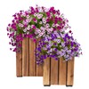 Sunnydaze Indoor/Outdoor Wooden Planter Boxes - 2 Acacia Wood Square