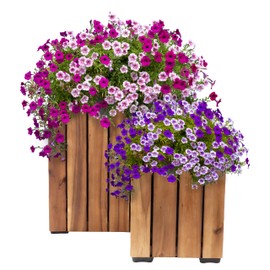 Sunnydaze Indoor/Outdoor Wooden Planter Boxes - 2 Acacia Wood Square Plant Pots with Plastic Liners - Light Brown Stain