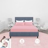 Comfy Nights Super King Fitted Sheet MicroFibre Plain Dyed Easy