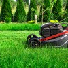 Rye Grass Annual Field Seed by Evergreen Farm and Garden